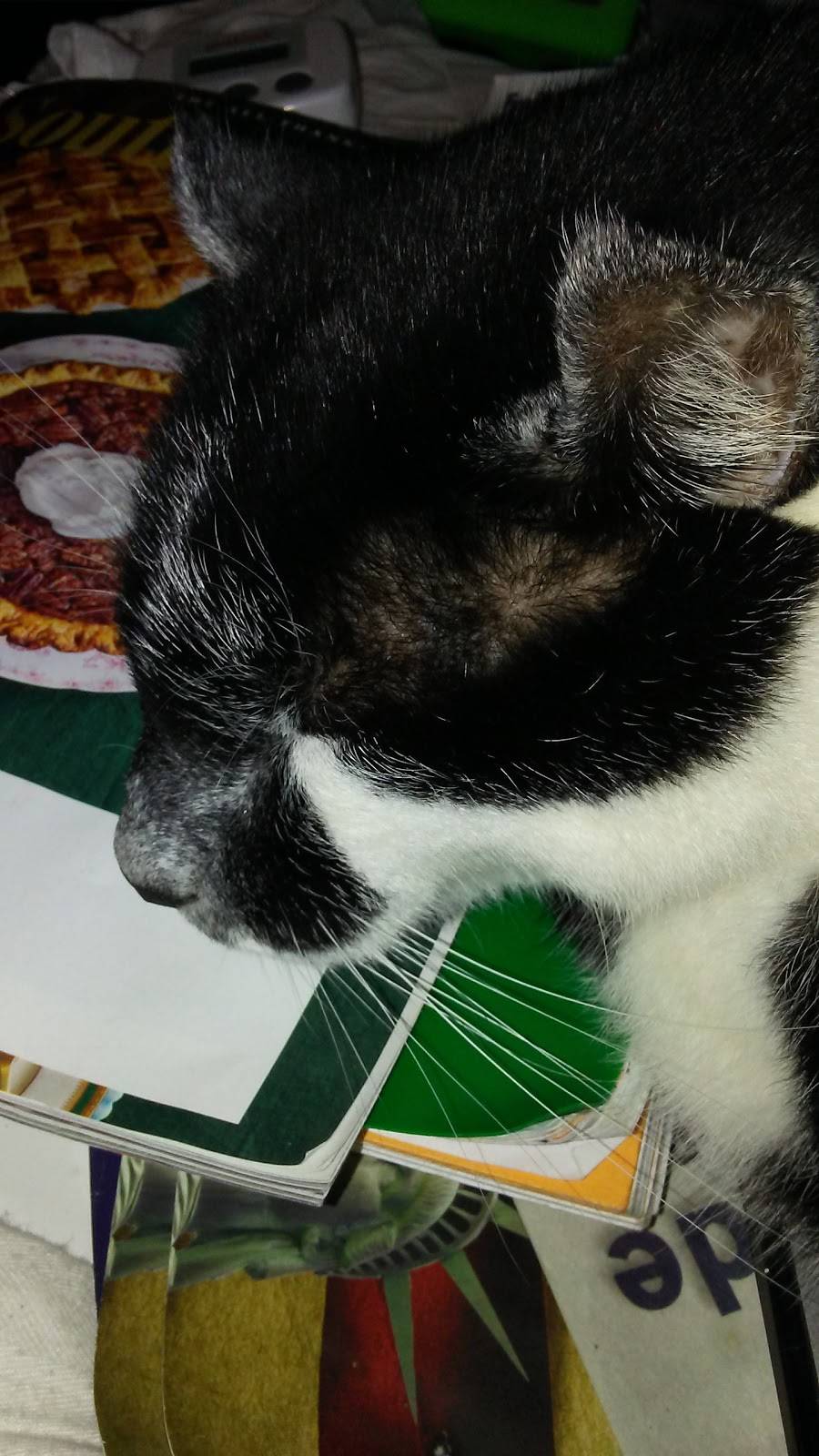 Olde Well Tavern | restaurant | 404 National Blvd, Lexington, NC 27292, USA | 3368432097 OR +1 336-843-2097