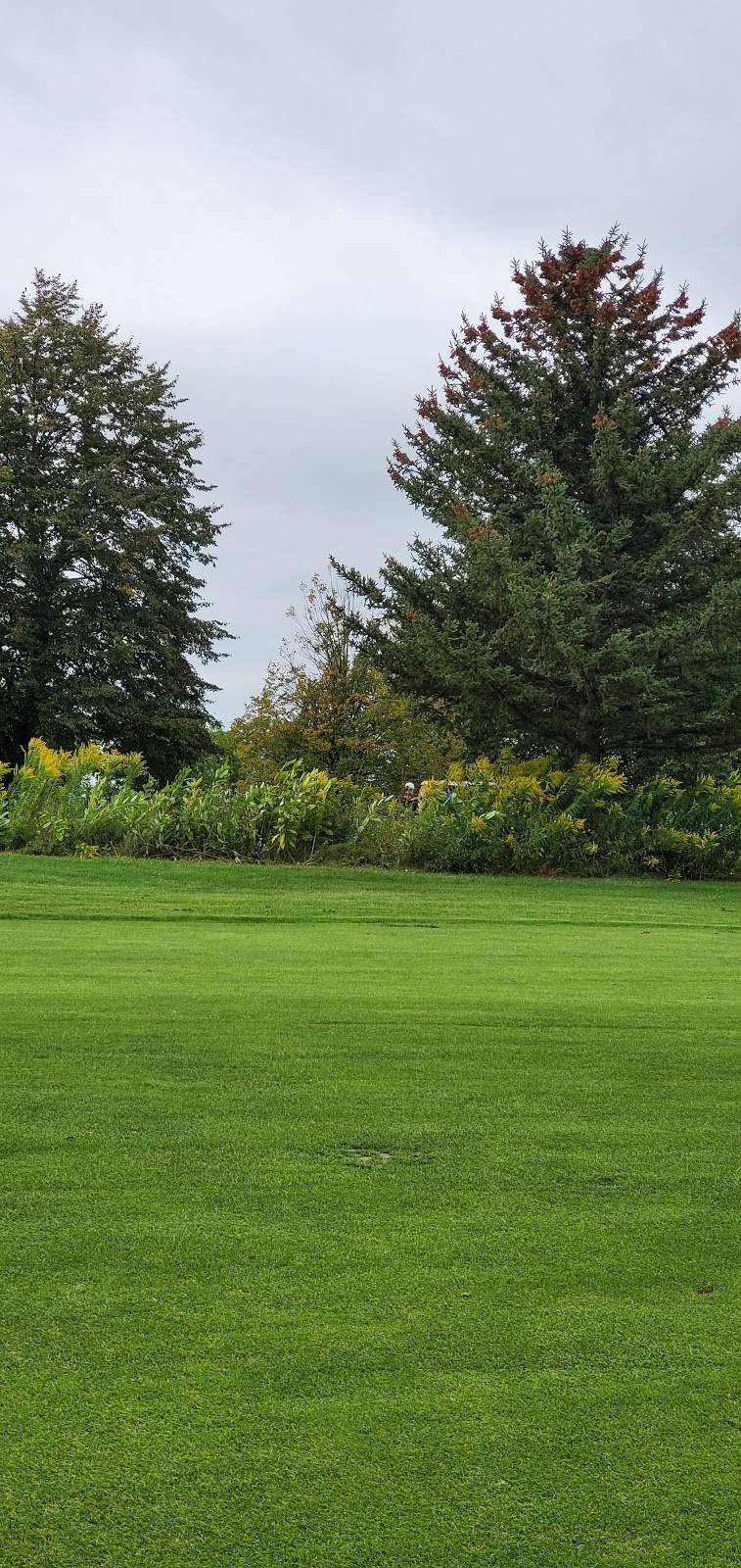 Livingston Country Club | restaurant | 4436 Lakeville Rd, Geneseo, NY 14454, USA | 5852434430 OR +1 585-243-4430