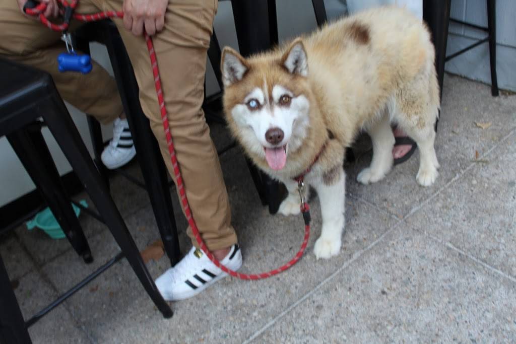 Island Time Bar & Grill | restaurant | George Washington Memorial Pkwy, Arlington, VA 22202, USA | 2023470173 OR +1 202-347-0173