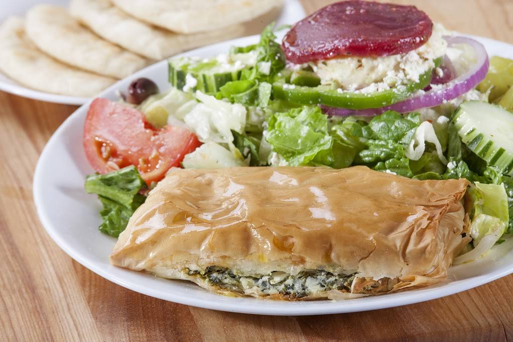 Little Greek | restaurant | 12117 W Linebaugh Ave, Tampa, FL 33626, USA | 8138529898 OR +1 813-852-9898