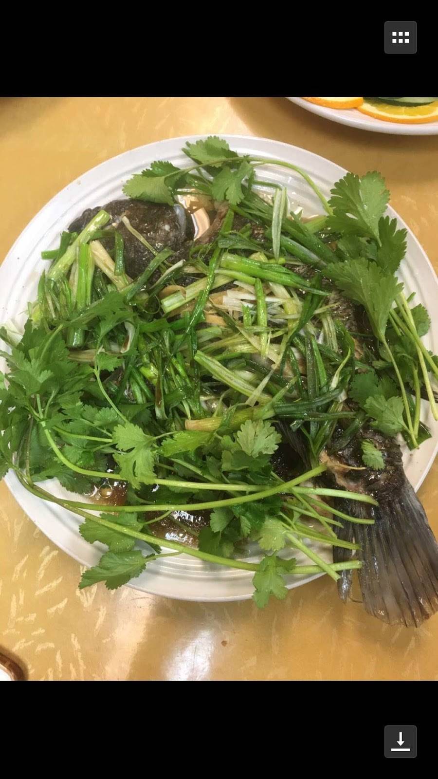 Grand China Restaurant | restaurant | Near The Park School, 156 Lancaster Ave, Columbia, PA 17512, USA | 7176849551 OR +1 717-684-9551