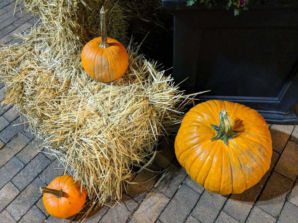 Silk Road Bistro | restaurant | 150 Main St, Marlborough, MA 01752, USA | 5086308946 OR +1 508-630-8946