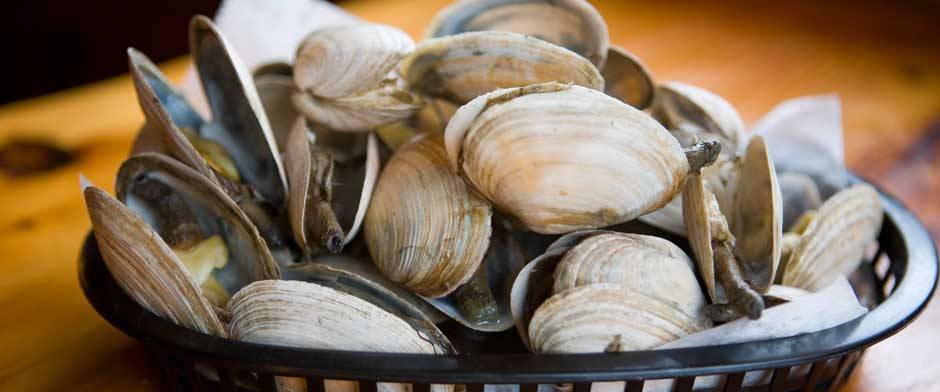 Lobster Shack | restaurant | 110 Perkins Cove Rd, Ogunquit, ME 03907, USA | 2076462941 OR +1 207-646-2941