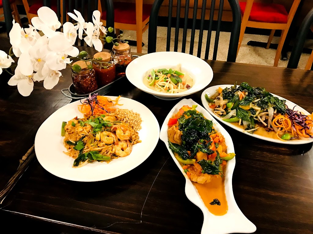 Pinto Thai Restaurant | restaurant | 4205 S MacDill Ave Suite F,G, Tampa, FL 33611, USA | 8133745378 OR +1 813-374-5378