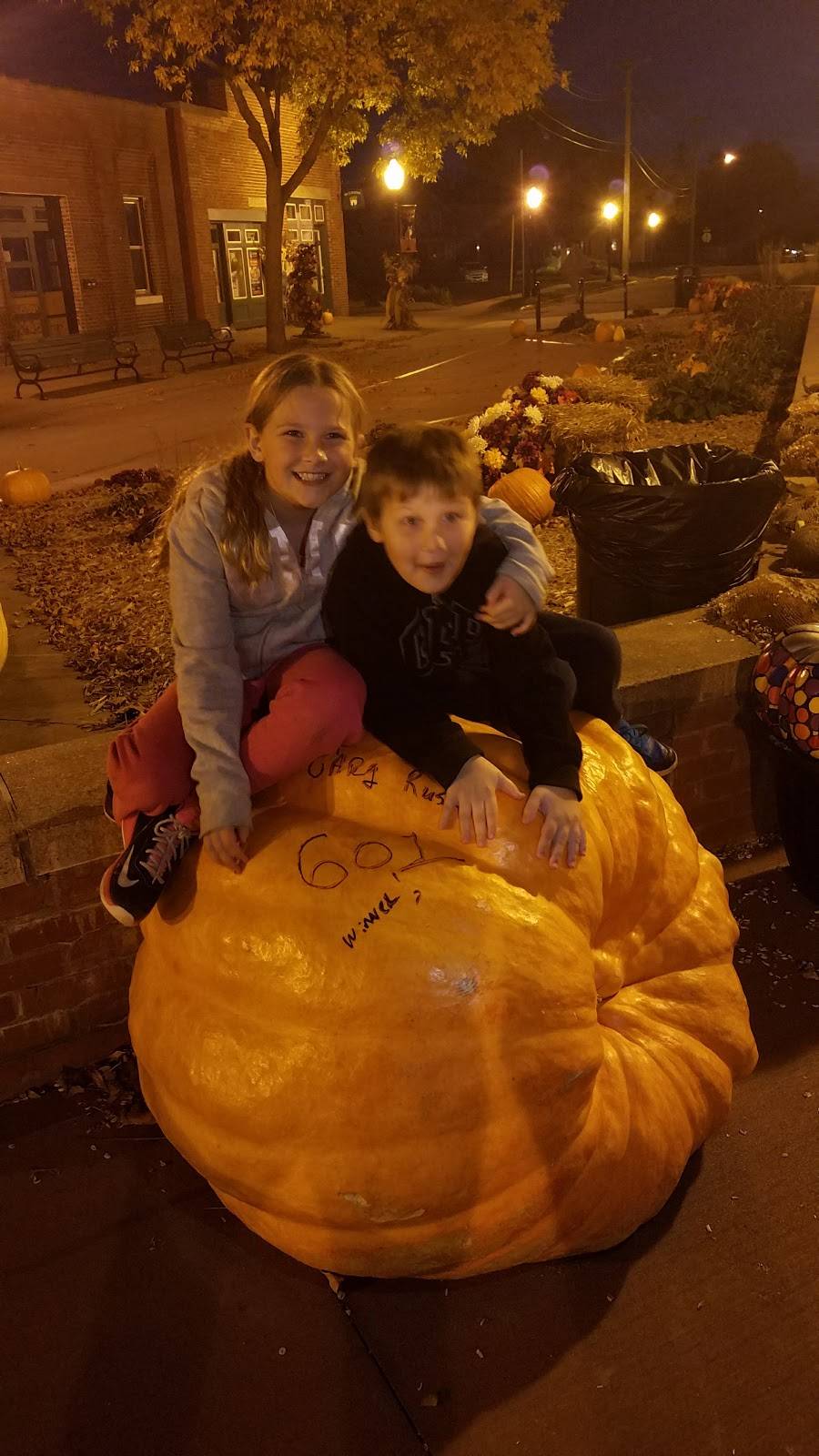 Fresh Wok | restaurant | 254 Main St W, Wabasha, MN 55981, USA | 6515653800 OR +1 651-565-3800