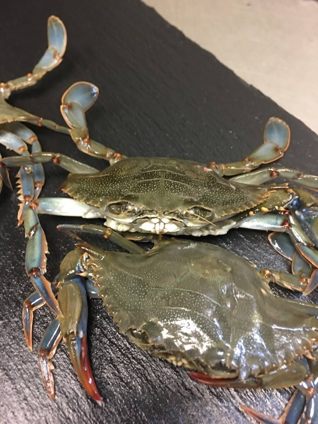 Jakes Restaurant Estd.1960 | restaurant | 21445 W. Gumina Road, Brookfield, WI 53072, USA | 2627817995 OR +1 262-781-7995