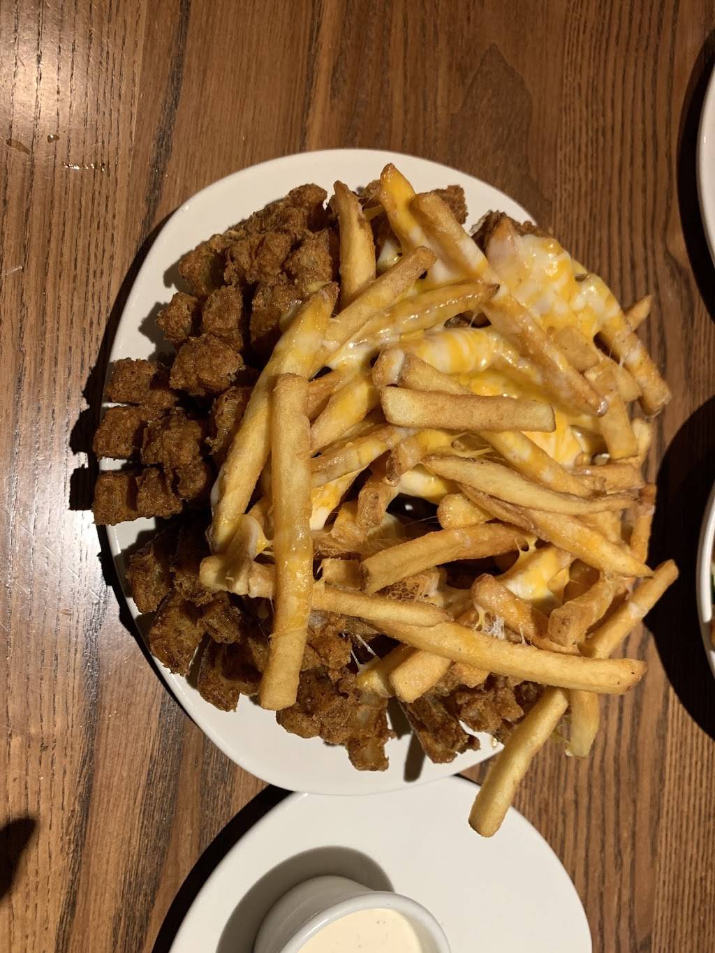 Outback Steakhouse | restaurant | 1515 W 14 Mile Rd, Madison Heights, MI 48071, USA | 2485852064 OR +1 248-585-2064