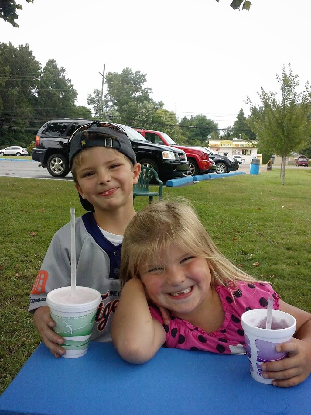 Blue Sky Ice Cream & Hamburgers | restaurant | 15155 Huron River Dr, Romulus, MI 48174, United States | 7349412583 OR +1 734-941-2583