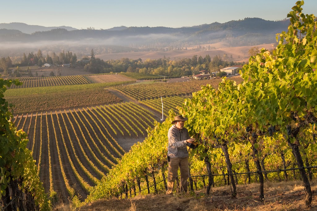 Abacela Winery | restaurant | 12500 Lookingglass Rd, Roseburg, OR 97471, USA | 5416796642 OR +1 541-679-6642