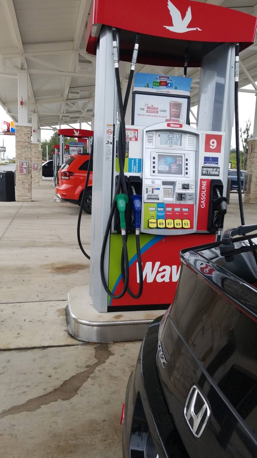 Wawa | cafe | 4025 SW College Rd, Ocala, FL 34474, USA | 3524144017 OR +1 352-414-4017