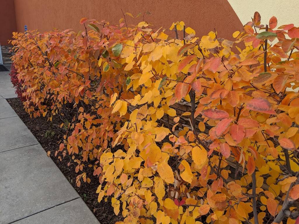 Taco Time | restaurant | 2311 N 400 E St, North Ogden, UT 84414, USA | 8017823760 OR +1 801-782-3760