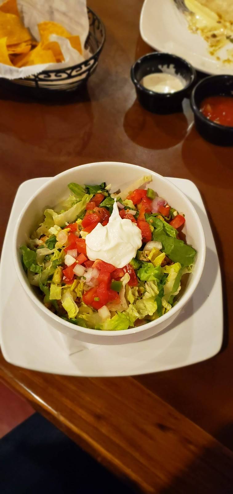 Senor Iguanas | restaurant | 9424 Shelbyville Rd, Louisville, KY 40222, USA | 5024254581 OR +1 502-425-4581