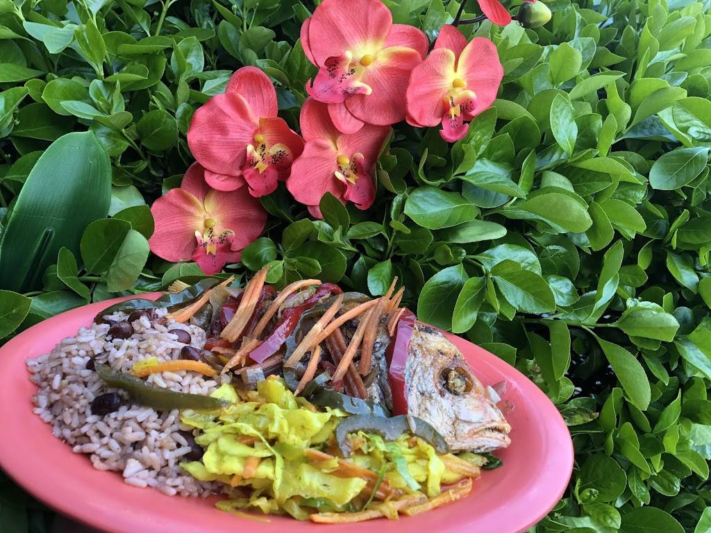 Caribbean Cove DC | restaurant | 9348 Cherry Hill Rd, College Park, MD 20740, USA | 2405424965 OR +1 240-542-4965