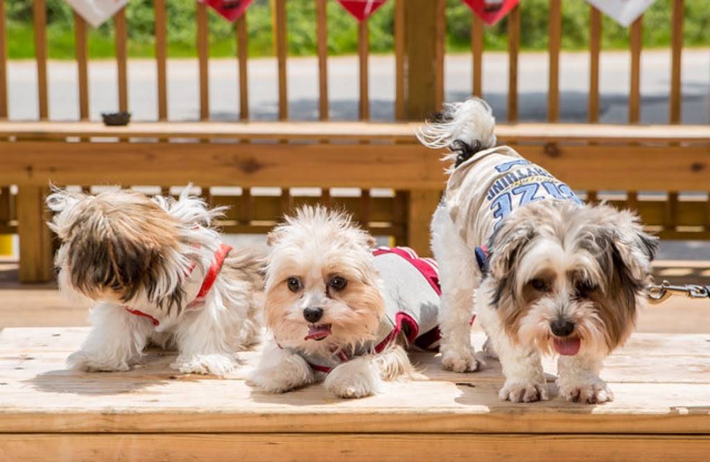 Lucky Dog Sports Bar and Grill | restaurant | 9440 Louetta Rd, Spring, TX 77379, USA | 8326982977 OR +1 832-698-2977