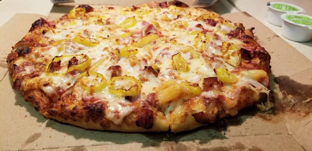 Dominos Pizza | meal delivery | 356 W Main St, Hendersonville, TN 37075, USA | 6152643030 OR +1 615-264-3030