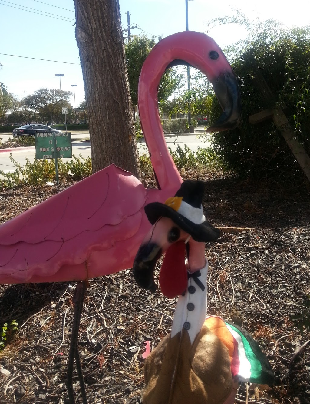 Bahama Bucks - Lewisville | restaurant | 2320 S Valley Pkwy, Lewisville, TX 75067, USA | 9724597000 OR +1 972-459-7000