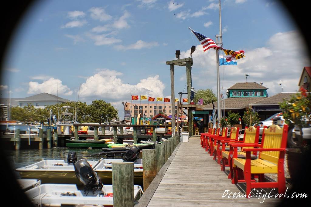 Bahia Marina Inc | restaurant | 2107 Herring Way, Ocean City, MD 21842, USA | 4102897438 OR +1 410-289-7438