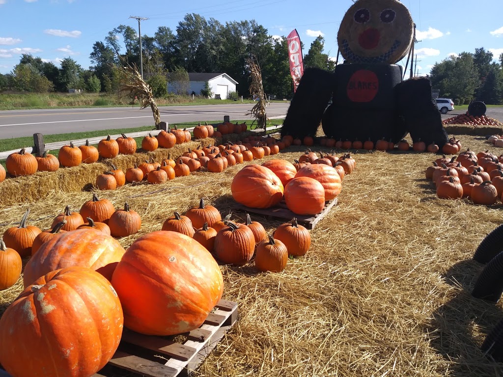 Blakes Backyard Almont | bakery | 5600 Van Dyke Rd, Almont, MI 48003, USA | 8107983251 OR +1 810-798-3251