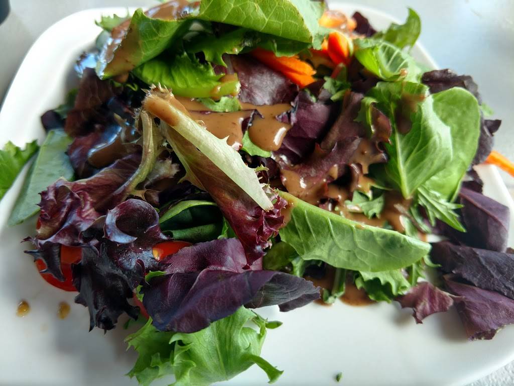 LandShark Bar & Grill Myrtle Beach | restaurant | 1110 Ocean Blvd, Myrtle Beach, SC 29577, USA | 8437880001 OR +1 843-788-0001