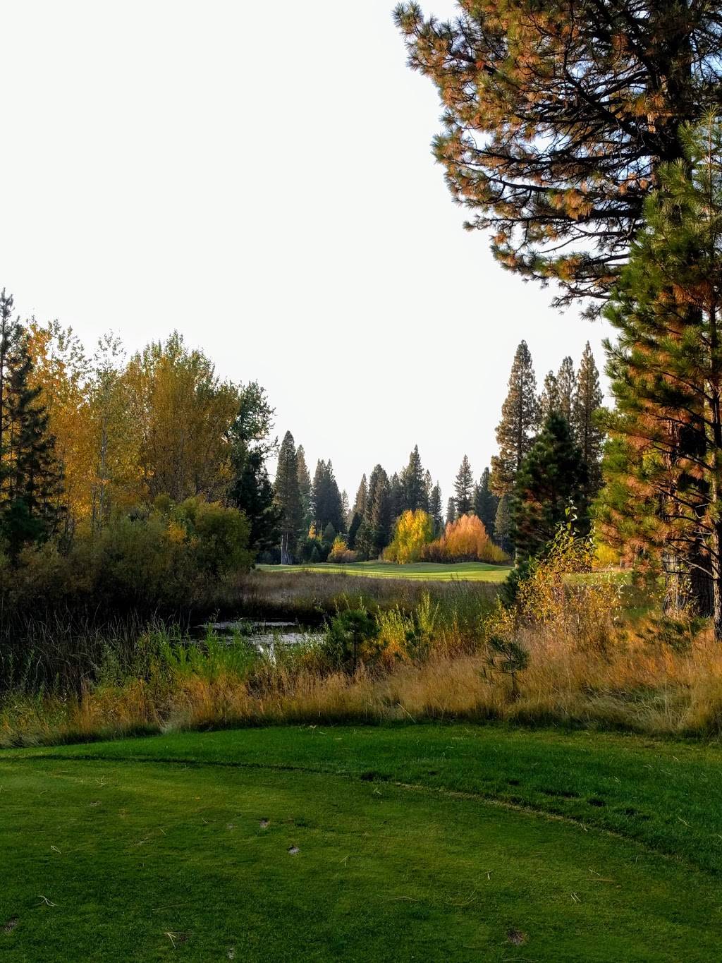 Whitehawk Ranch Golf Club | meal takeaway | 768 Whitehawk Dr, Clio, CA 96106, USA | 5308360394 OR +1 530-836-0394