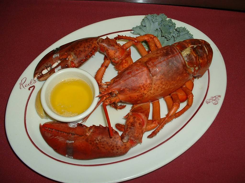 Reds Restaurant Inc | restaurant | 12005 State Route 9W, West Coxsackie, NY 12192, USA | 5187318151 OR +1 518-731-8151