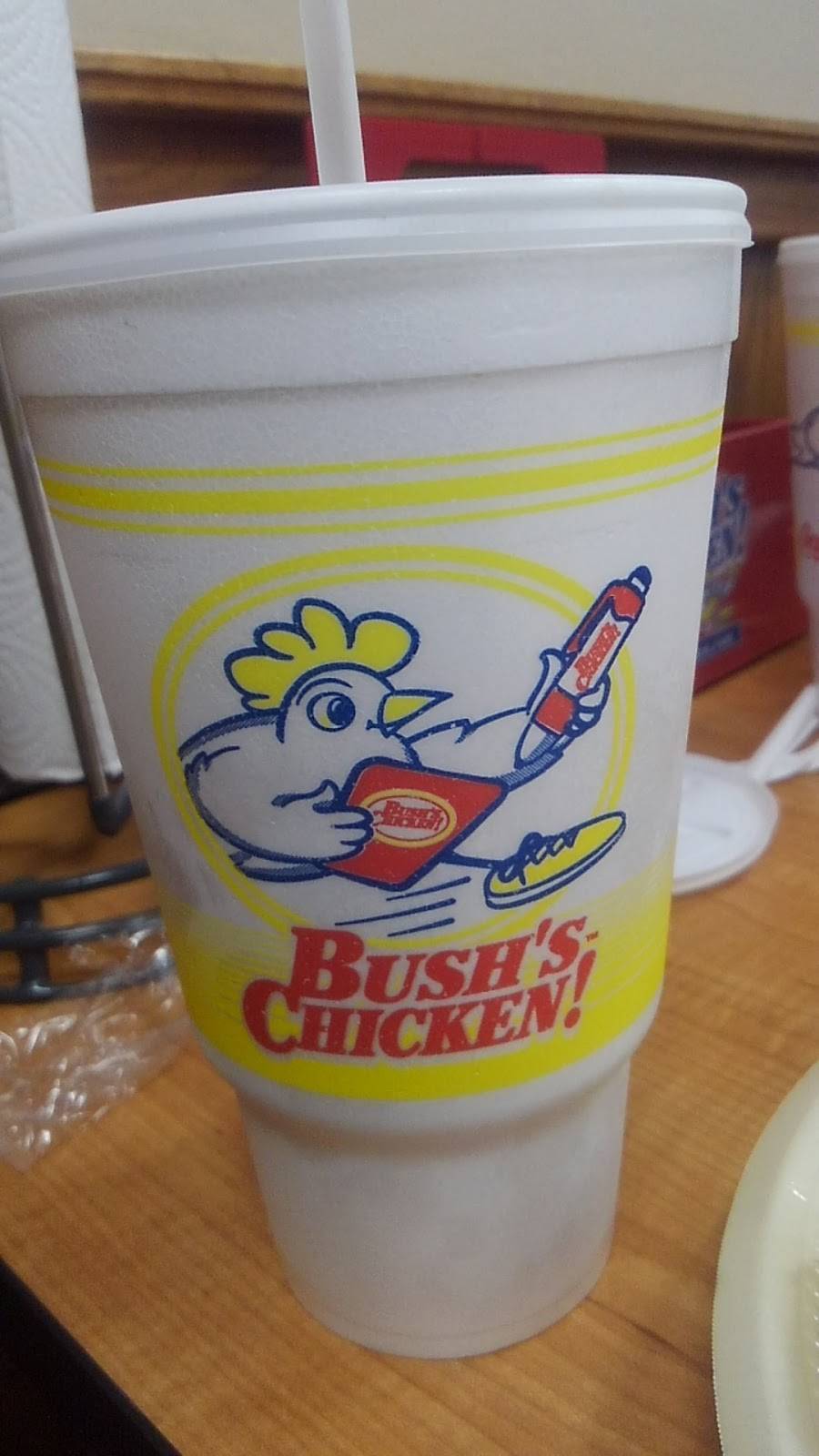 Bushs Chicken | restaurant | 1621 S Key Ave, Lampasas, TX 76550, USA | 5125566044 OR +1 512-556-6044