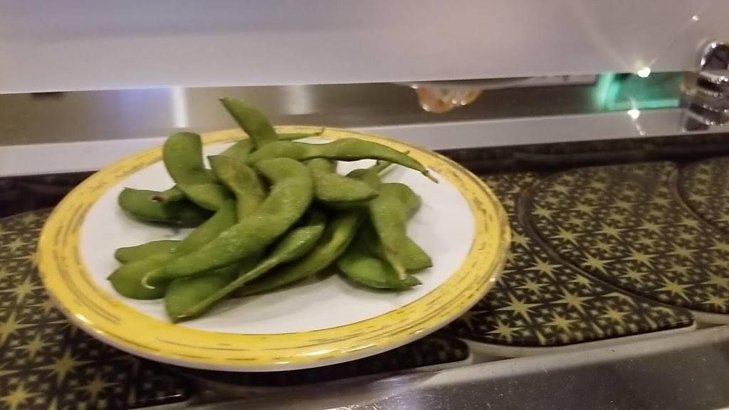 Sushi Train | restaurant | 8765 Tallon Ln NE, Lacey, WA 98516, USA | 3604554010 OR +1 360-455-4010