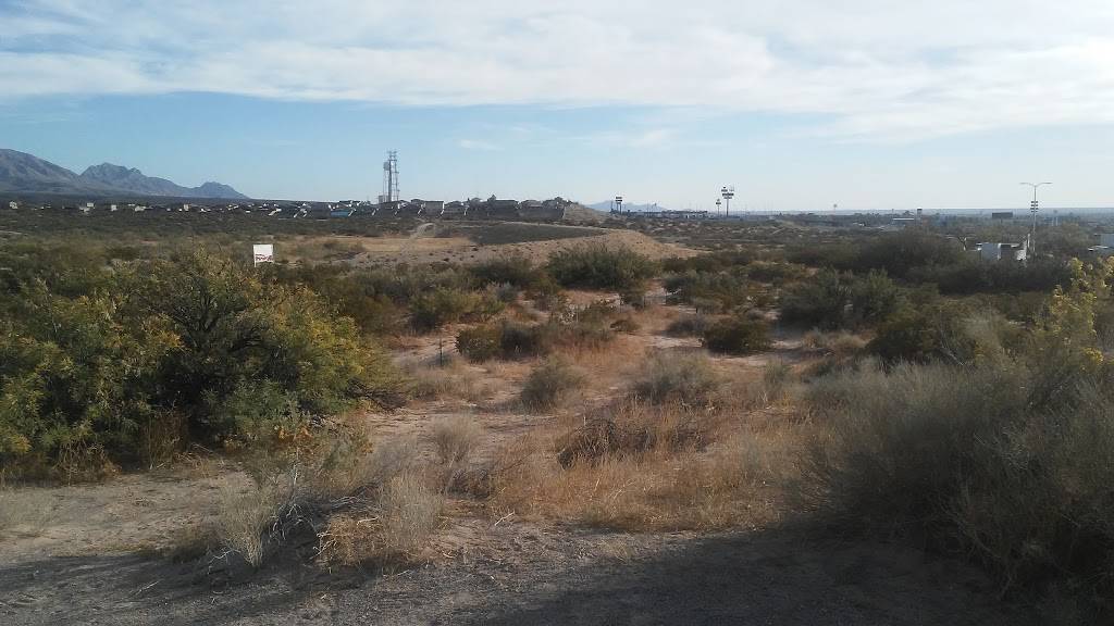 Chesters Chicken | restaurant | 3000 N Park Dr, Anthony, TX 79821, USA | 9158869067 OR +1 915-886-9067