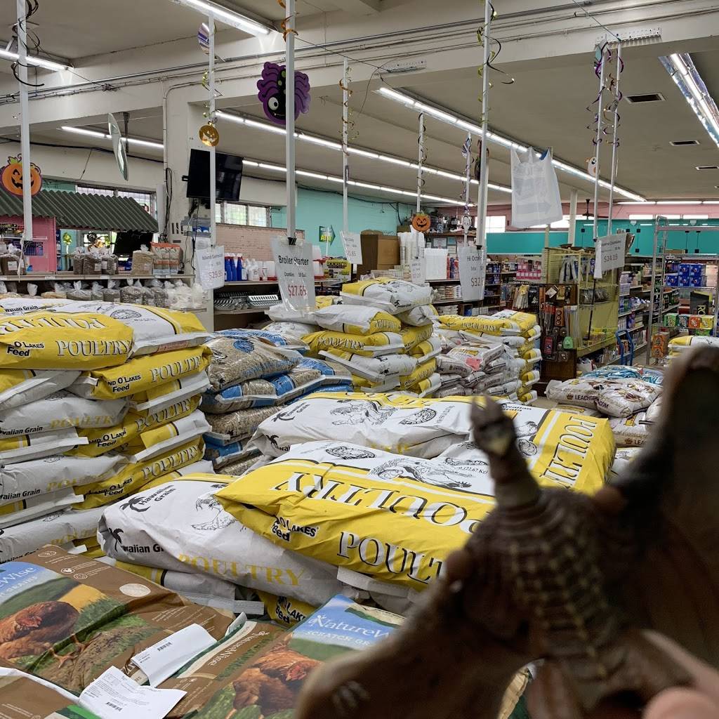 Nii Superette | meal takeaway | 94-1013 Waipahu St, Waipahu, HI 96797, USA | 8086773281 OR +1 808-677-3281