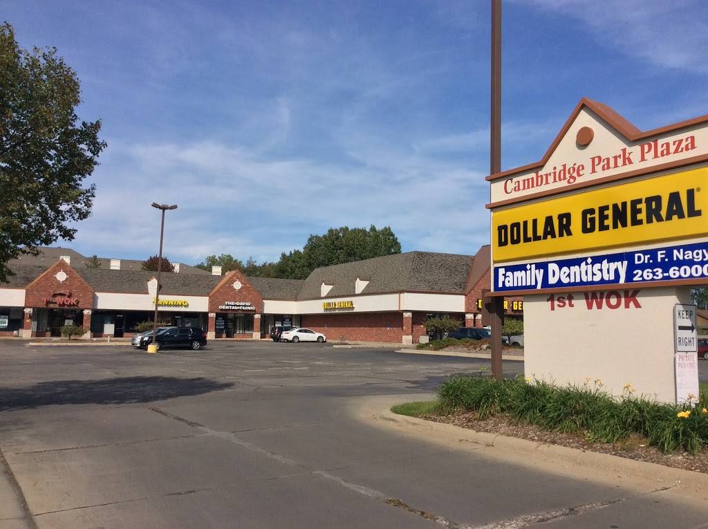 1st Wok | restaurant | 15335 17 Mile Rd, Clinton Twp, MI 48038, USA | 5862861111 OR +1 586-286-1111