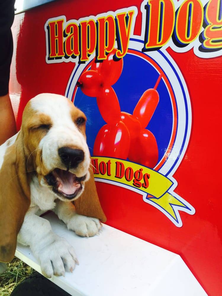Happy Dog Hot Dogs | meal takeaway | Auto Body Parking lot, 324 River St, Santa Cruz, CA 95060, USA | 8313322057 OR +1 831-332-2057