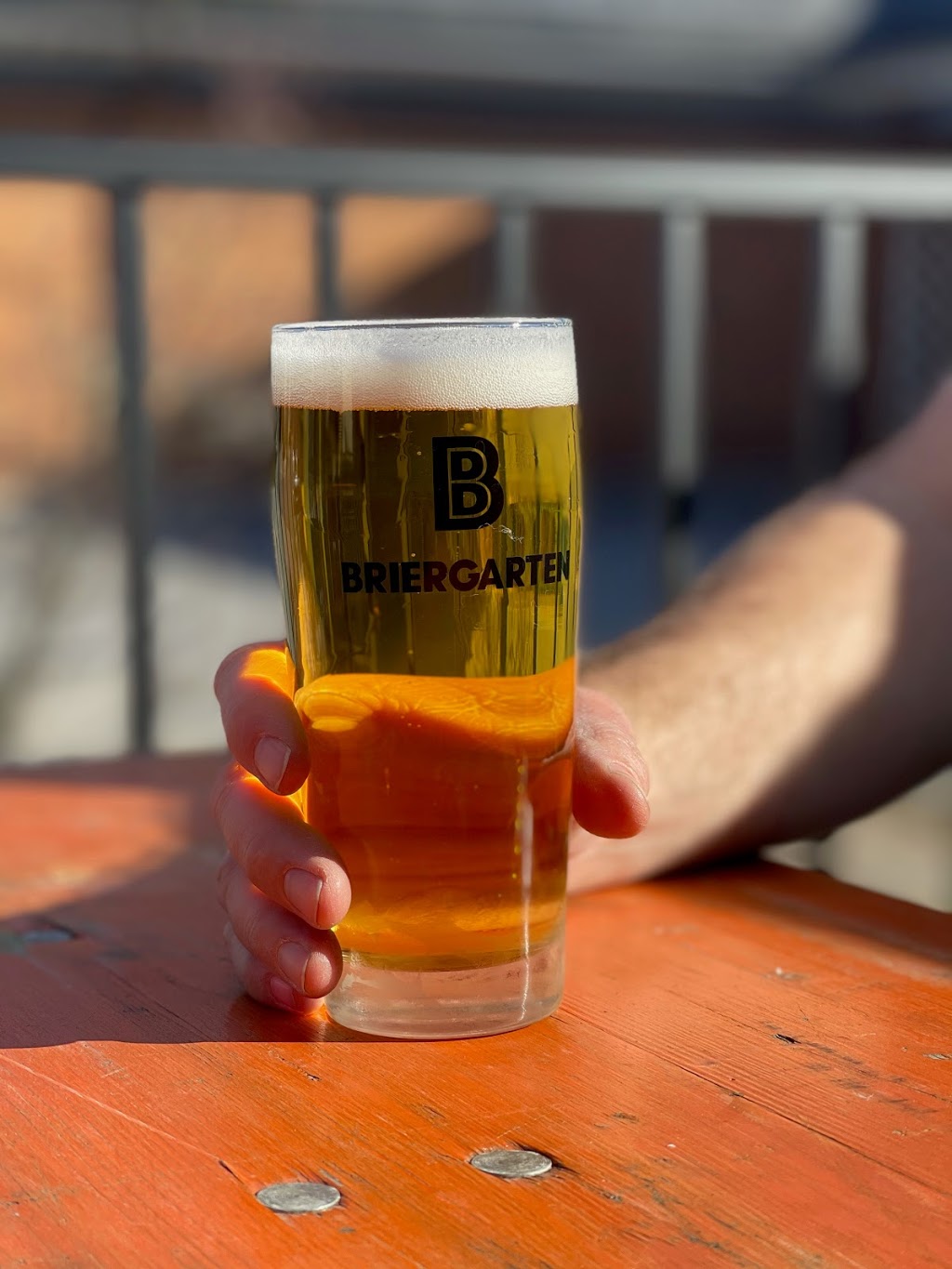 Briergarten | restaurant | 121 Stratton Alley Suite 9, Lewisburg, WV 24901, USA | 3045204039 OR +1 304-520-4039