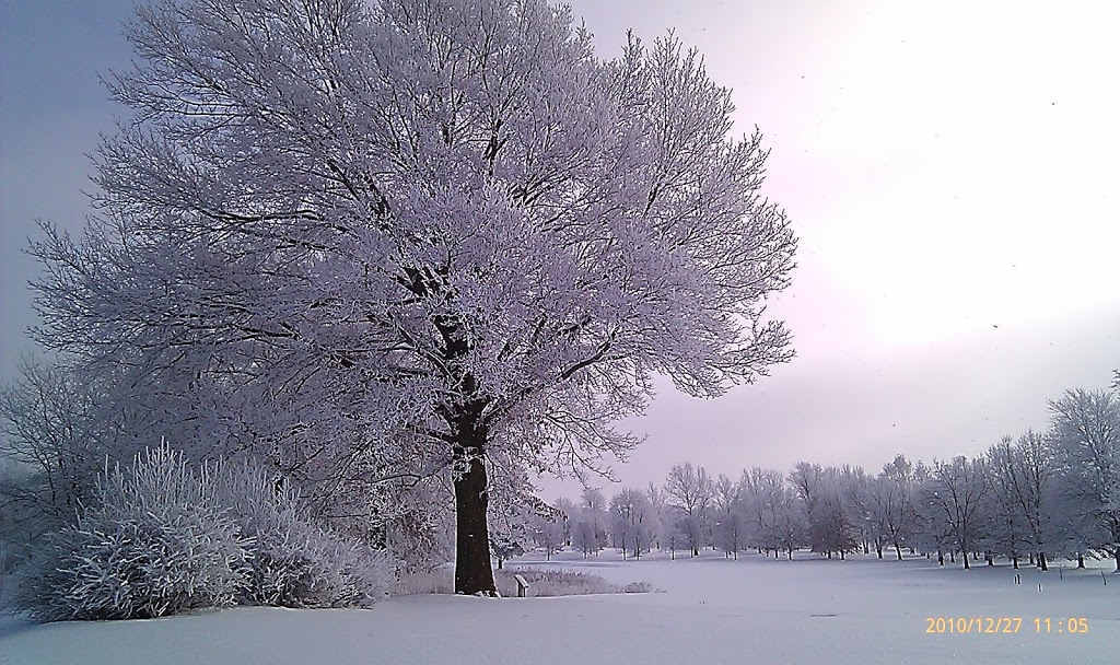 Finkbine Golf Course | restaurant | 1380 Melrose Ave, Iowa City, IA 52242, USA | 3193359556 OR +1 319-335-9556