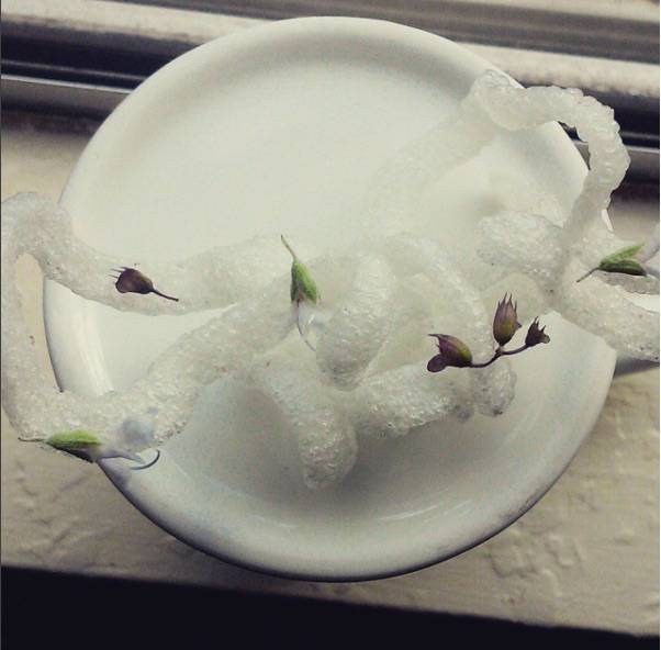 Chris Bailey Cooks | restaurant | 7238 SE Foster Rd, Portland, OR 97206, USA | 5036100743 OR +1 503-610-0743