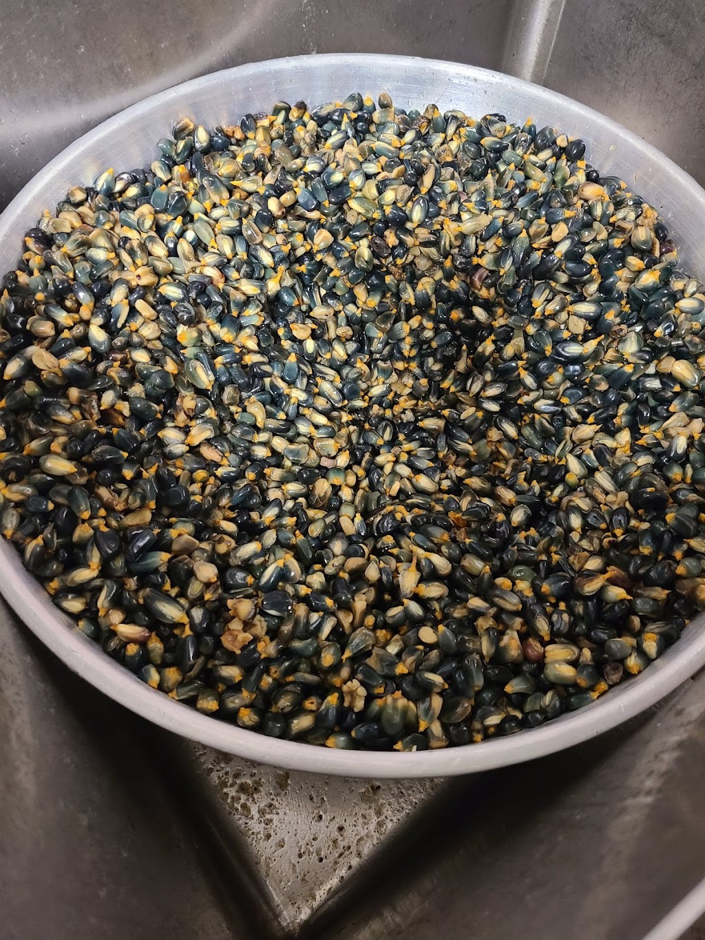 Island House Taqueria | restaurant | 2773 Bee Ridge Rd, Sarasota, FL 34239, USA | 9419228226 OR +1 941-922-8226