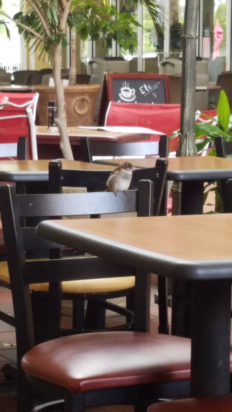 Subway | restaurant | 10801 Corkscrew Rd Suite 191, Estero, FL 33928, USA | 2393905910 OR +1 239-390-5910