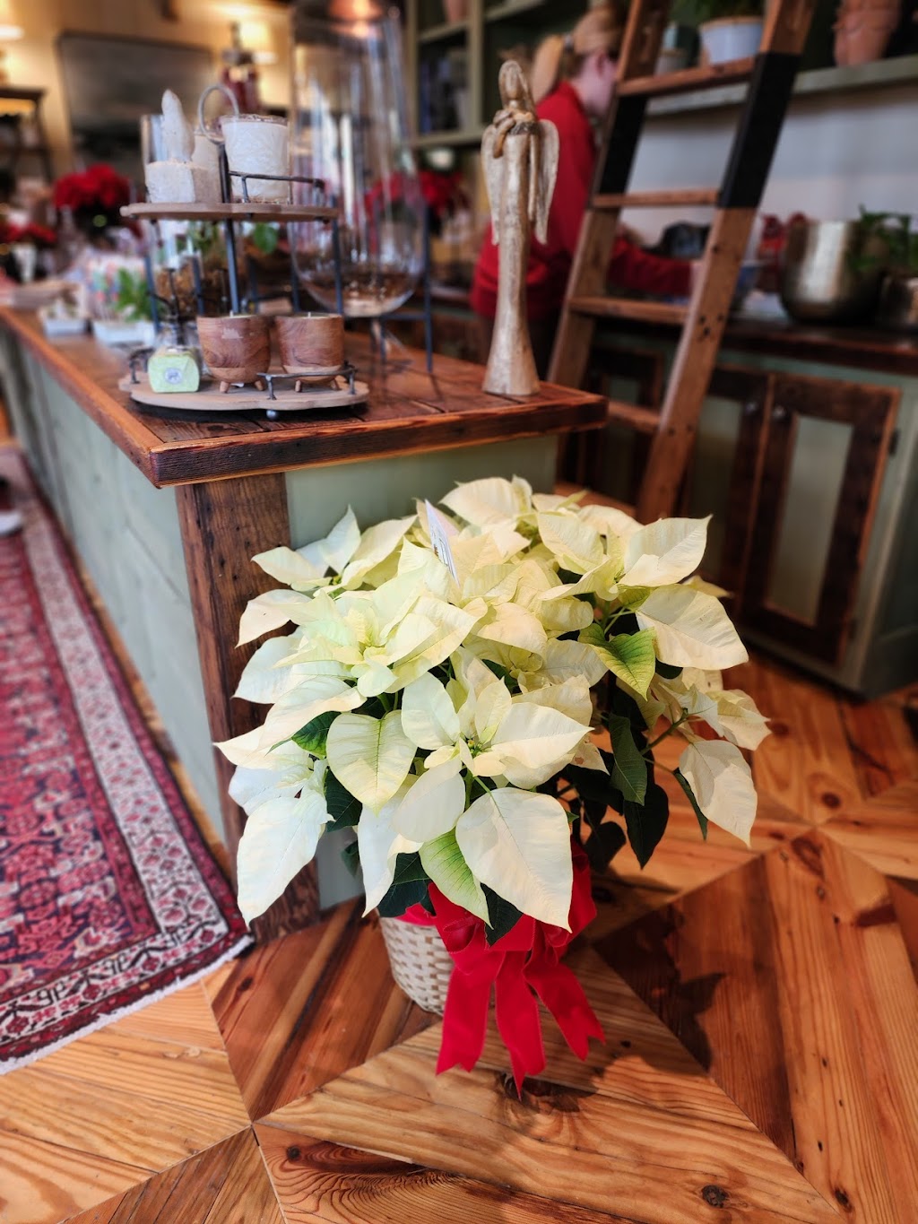 Botanic | restaurant | 1702 Frederick Rd, Opelika, AL 36801, USA | 3347489082 OR +1 334-748-9082