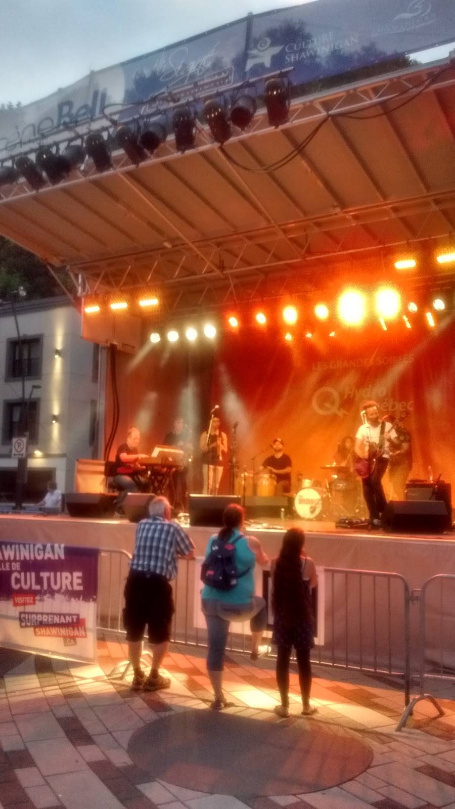 Les Ailes Buffalo Shawinigan | restaurant | 55 du marché, Shawinigan, QC G9N 0C8, Canada | 8195360426 OR +1 819-536-0426