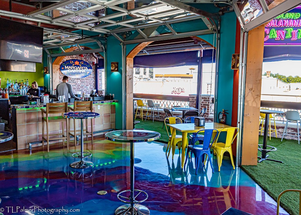 Blind Salamander Cantina | restaurant | 301 N LBJ Dr Ste 111, San Marcos, TX 78666, USA | 5127491108 OR +1 512-749-1108