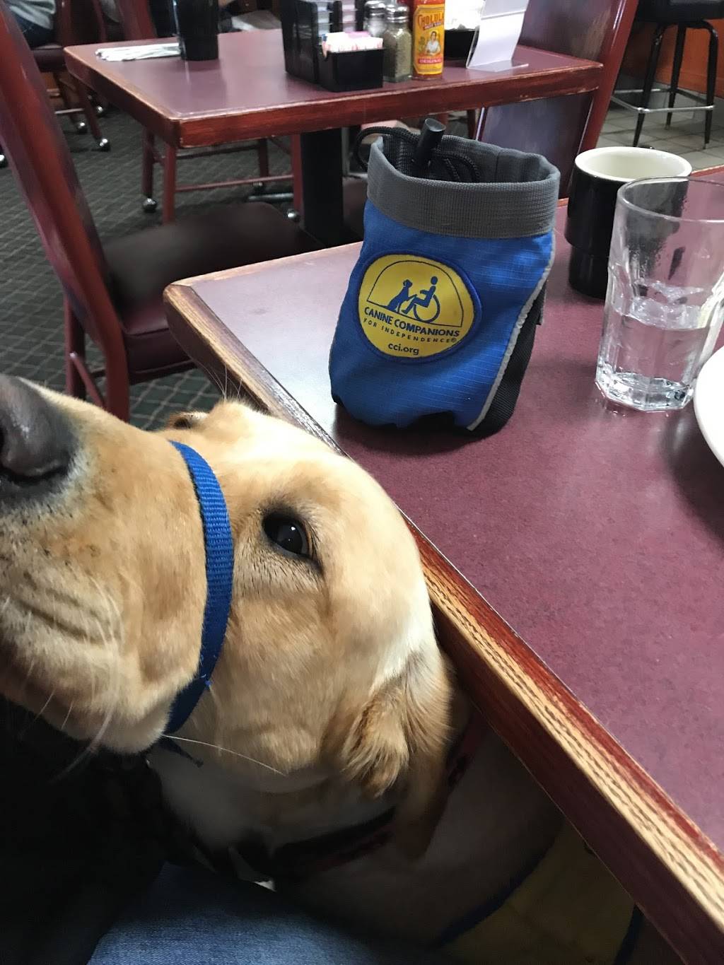 Niko’s Breakfast Club | restaurant | 4002 W 111th St, Oak Lawn, IL 60453, USA | 7084223344 OR +1 708-422-3344