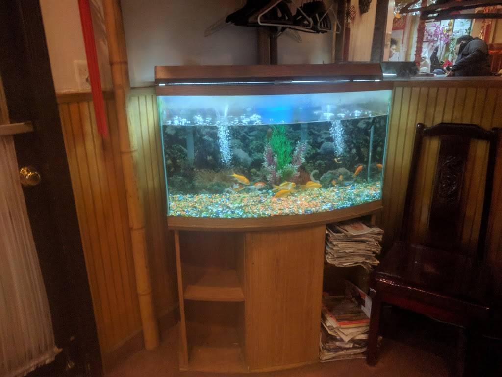 Shanghai Cafe | restaurant | 12760 Darby Brook Ct, Woodbridge, VA 22192, USA | 7034948833 OR +1 703-494-8833