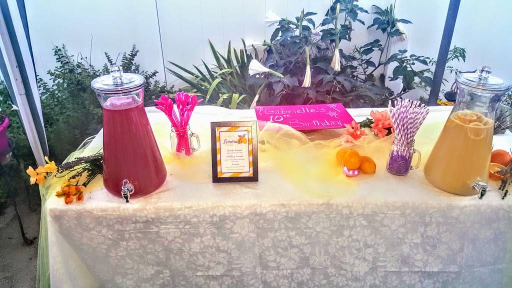 JJs Fritaille | restaurant | 4021 Glenwood Rd, Brooklyn, NY 11210, USA | 3476362850 OR +1 347-636-2850