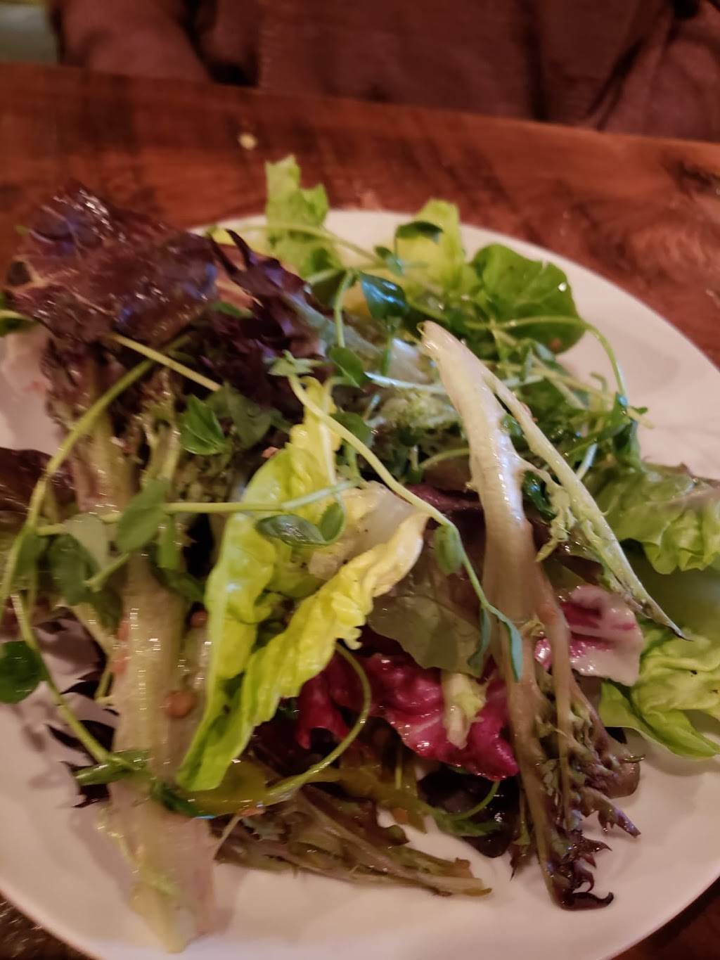 Lolita | restaurant | 90 Congress St, Portland, ME 04101, USA | 2077755652 OR +1 207-775-5652