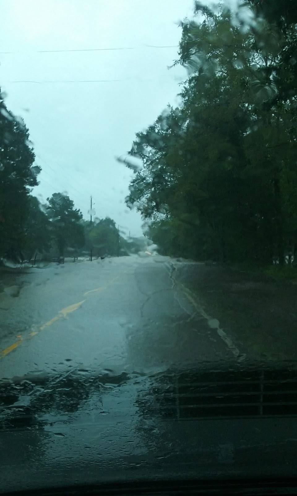 Piney Woods Mart | restaurant | 11845 Calvary Rd, Willis, TX 77318, USA | 9367014090 OR +1 936-701-4090