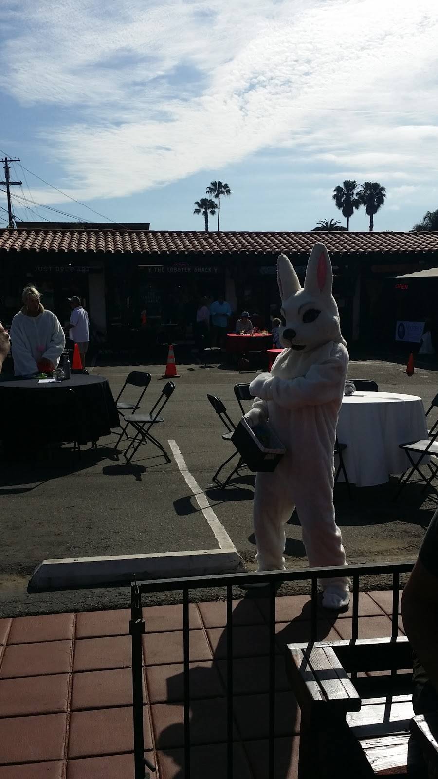 The Lobster Shack | restaurant | 111 W Avenida Palizada #104, San Clemente, CA 92672, USA | 9495031119 OR +1 949-503-1119