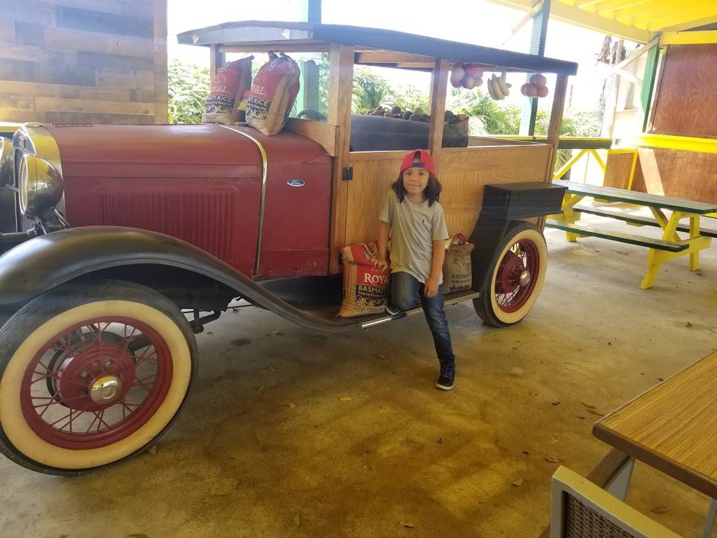 RANCHO VIEJO | restaurant | 26030 SW 177th Ave, Homestead, FL 33031, USA | 7863802840 OR +1 786-380-2840