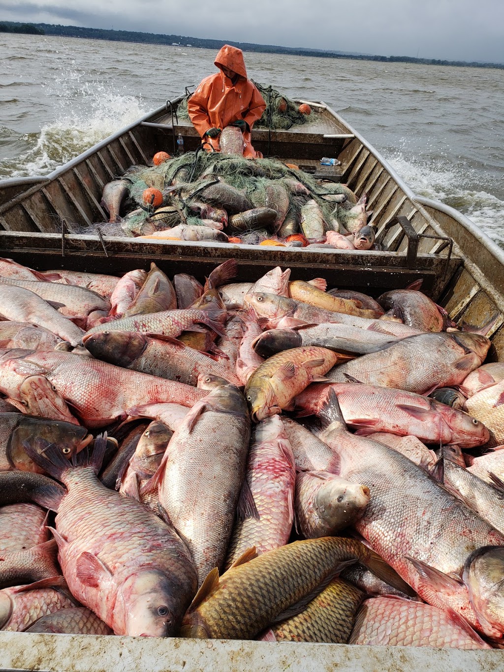 Kinnick On the River | restaurant | 1 Main St, Montrose, IA 52639, USA | 3194637293 OR +1 319-463-7293