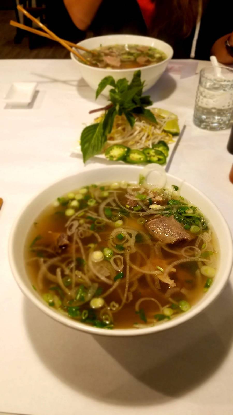 Pho Tam | restaurant | 6959 Dempster Street, Niles, IL 60714, USA | 2244705140 OR +1 224-470-5140