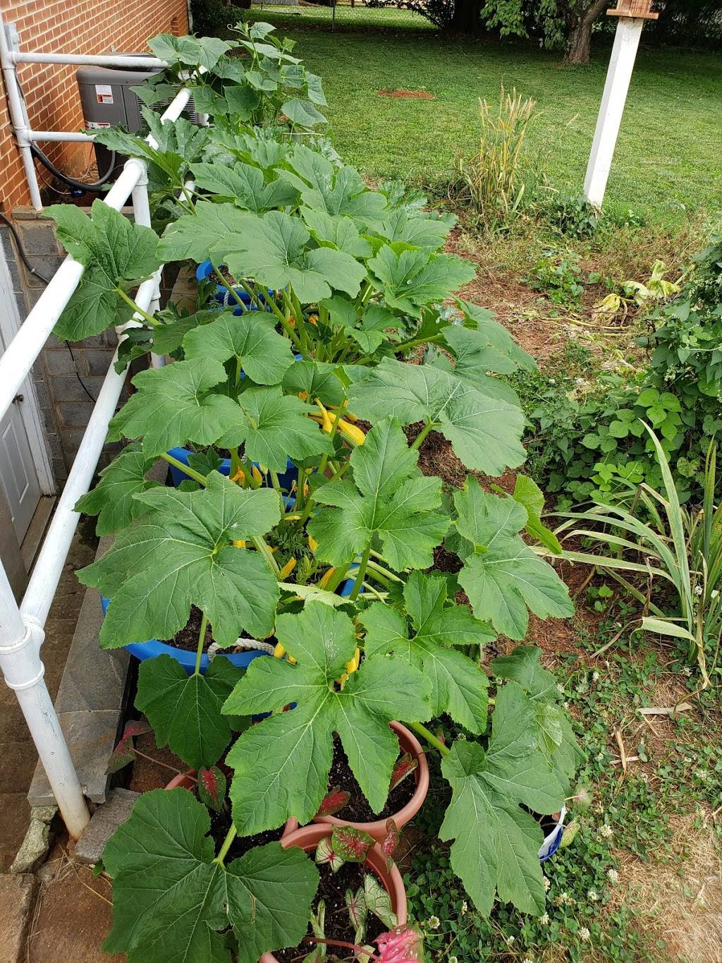 Country Cookin | restaurant | 13246 James Madison Hwy, Orange, VA 22960, USA | 5406725353 OR +1 540-672-5353