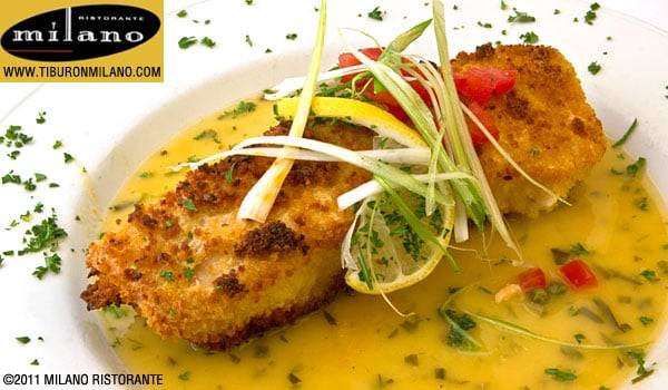 Milano Restaurant | restaurant | 1 Blackfield Dr #11, Belvedere Tiburon, CA 94920, USA | 4153889100 OR +1 415-388-9100